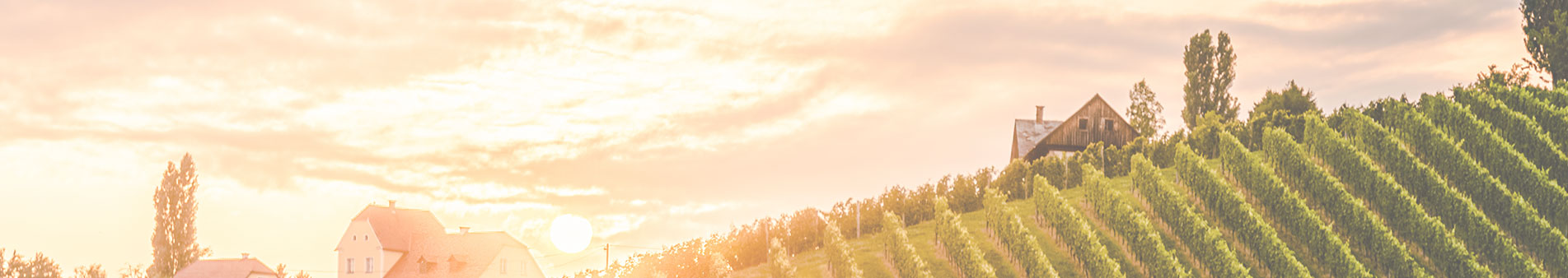  Aus dem 1923 gegr&uuml;ndeten...