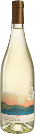 2025 Collioure blanc Filat�lia von Terres des Templiers -...