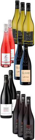 12 Fl. Valle du Rhne -paket Vignerons de Tavel