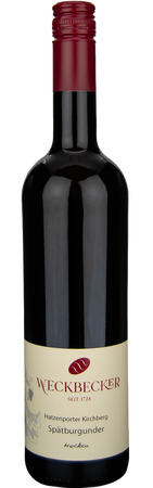 2022 Mosel Sptburgunder Burg Cochem von Weingut...