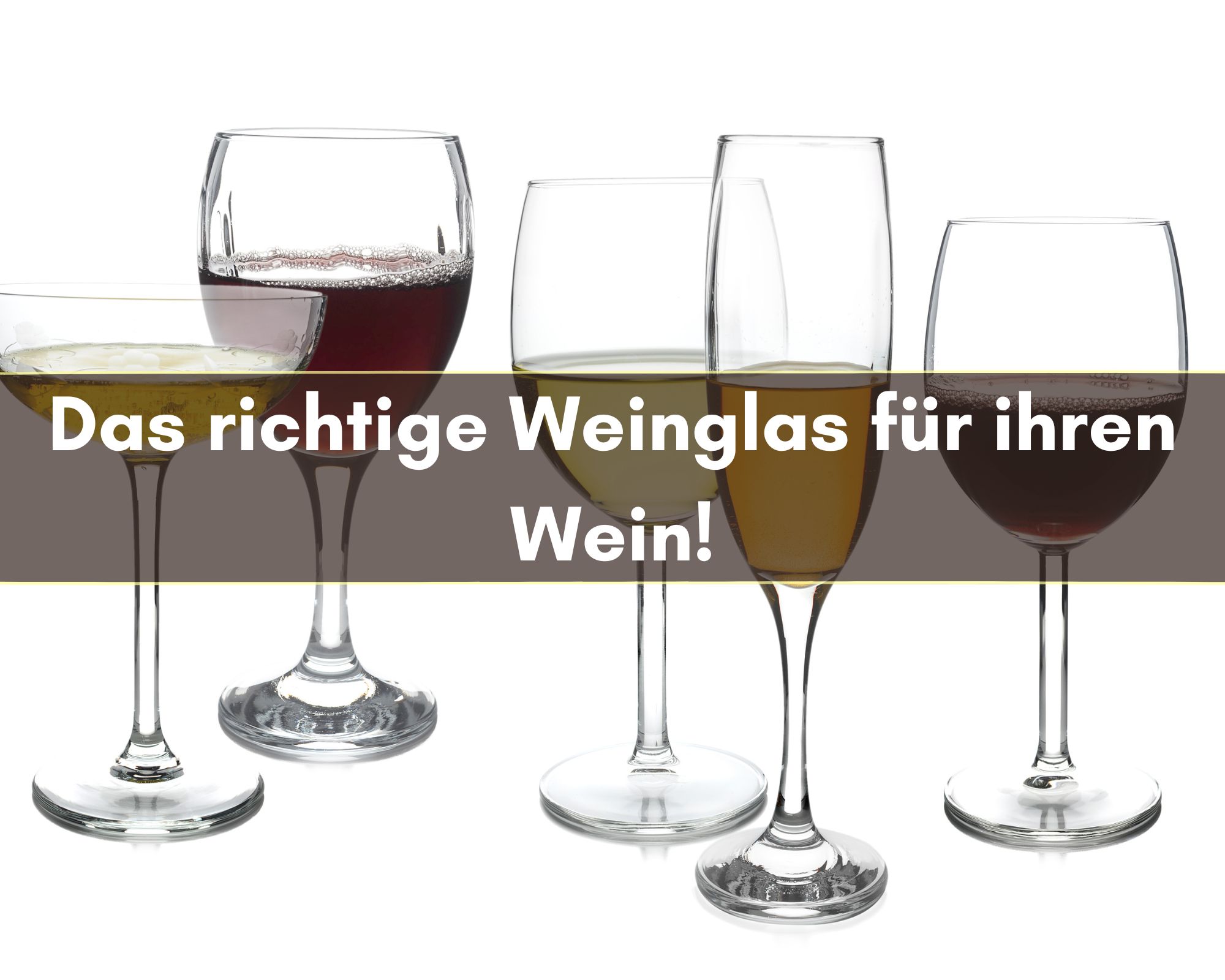Das richtige Weinglas für ihren Wein finden Sie hier!