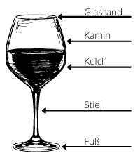 richtige Weinglas