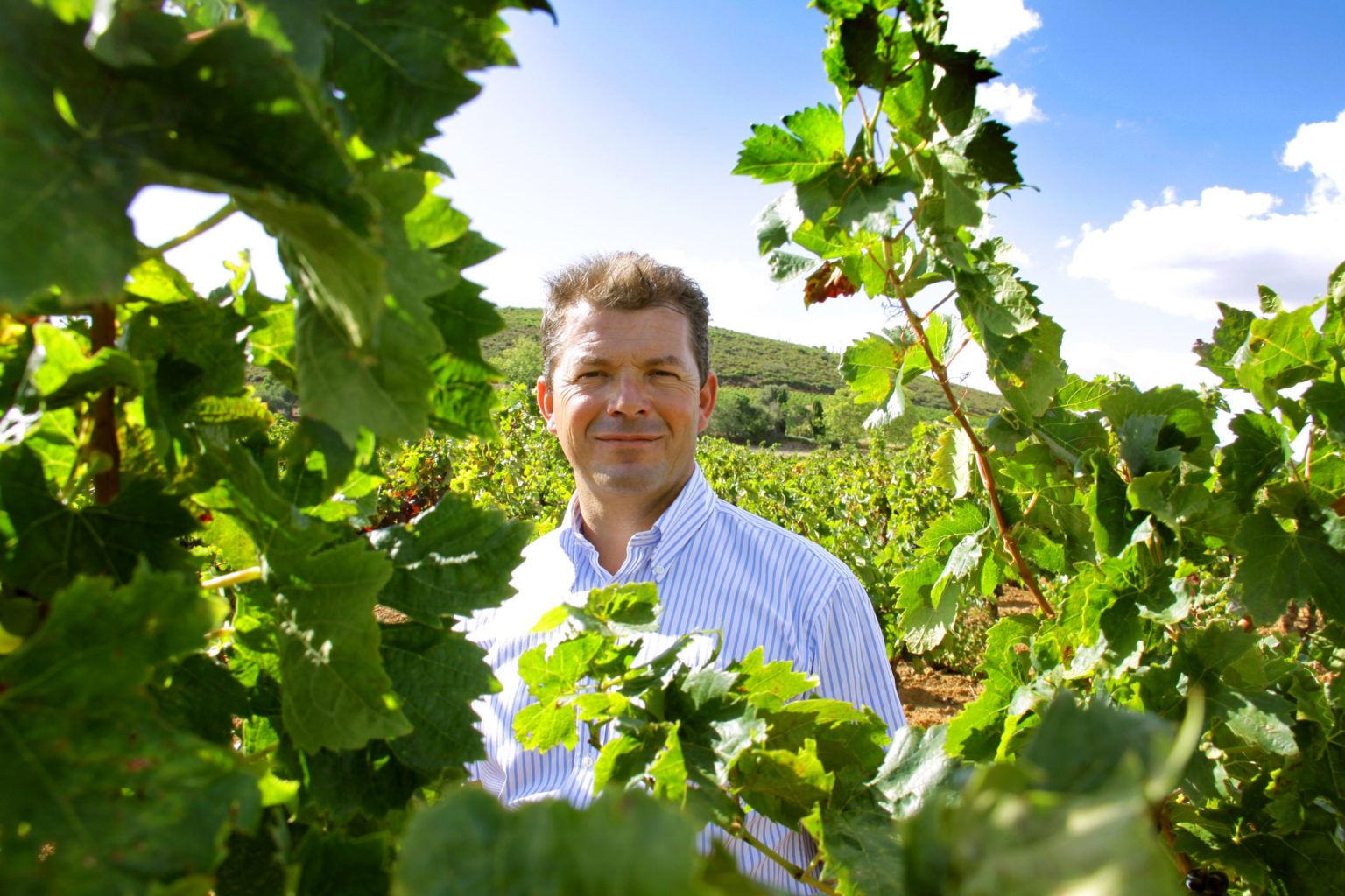 Charaktervolle Weine der Domaine Château Fontsainte Der Kroté