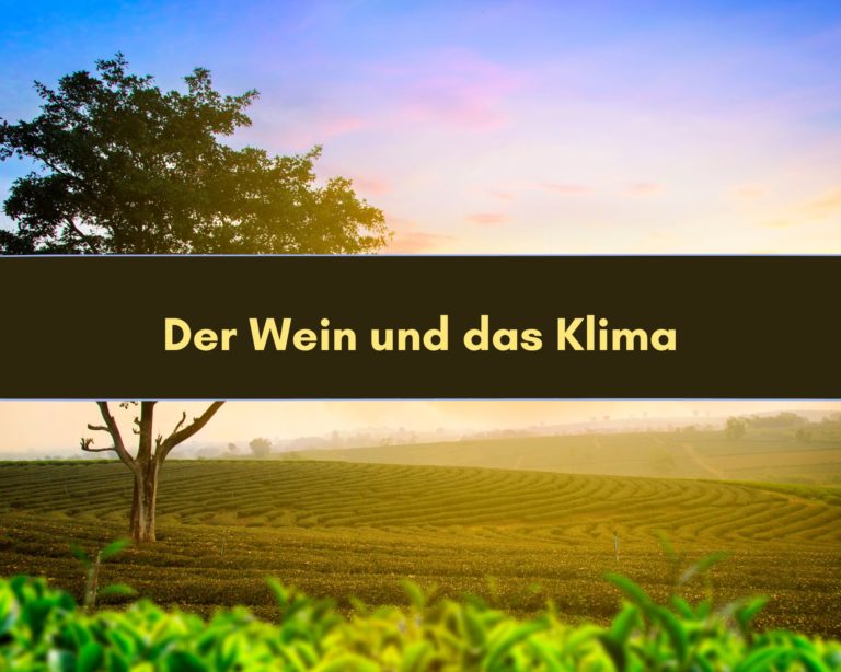 Der Wein und das Wetter