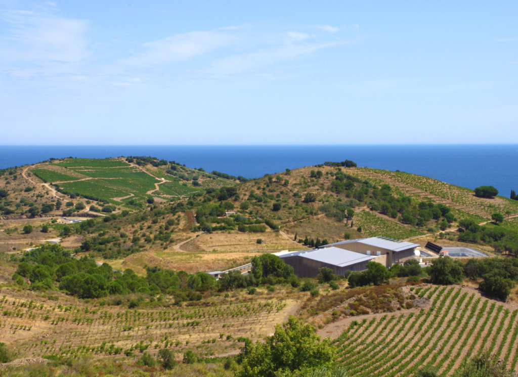 Weinberge Terres des Templiers