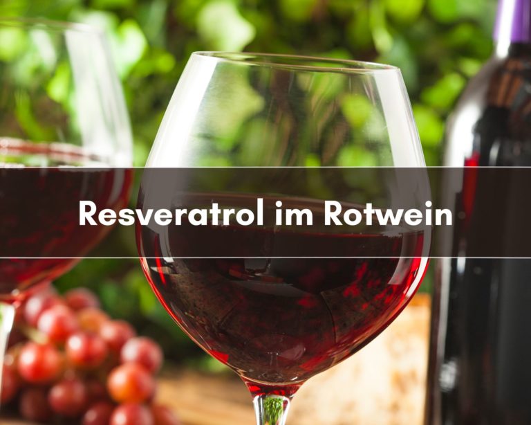 Resveratrol im Rotwein