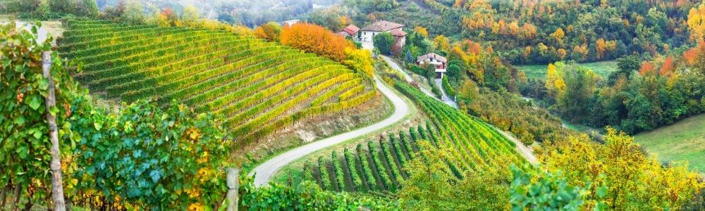 italienischen Rotweine