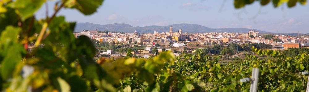 Rotweine aus Spanien