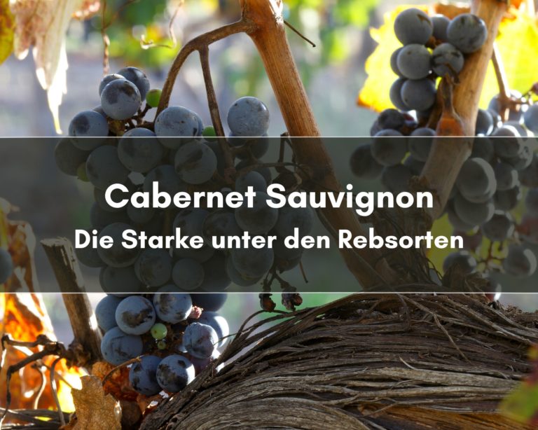 Cabernet Sauvignon