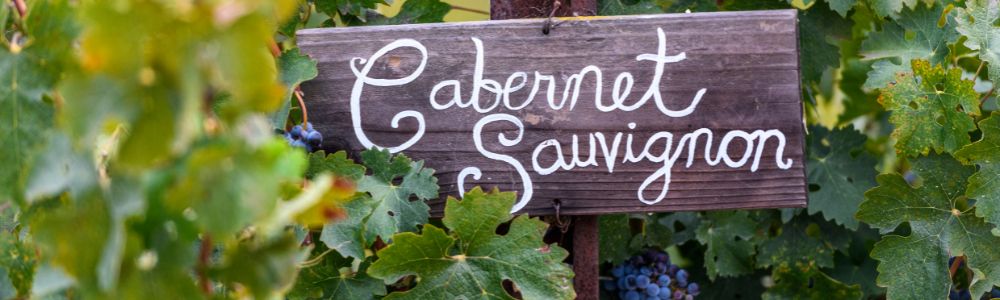 Rebsorte Cabernet Sauvignon