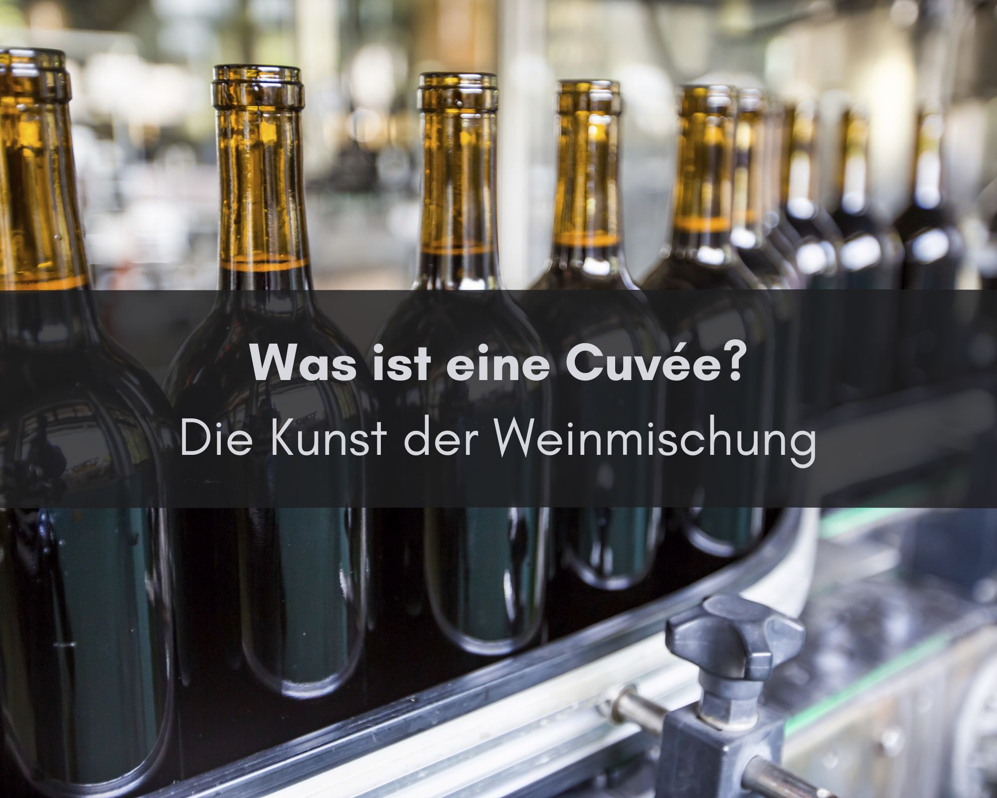 Was Bedeutet Cuvee Beim Wein www.krote.de